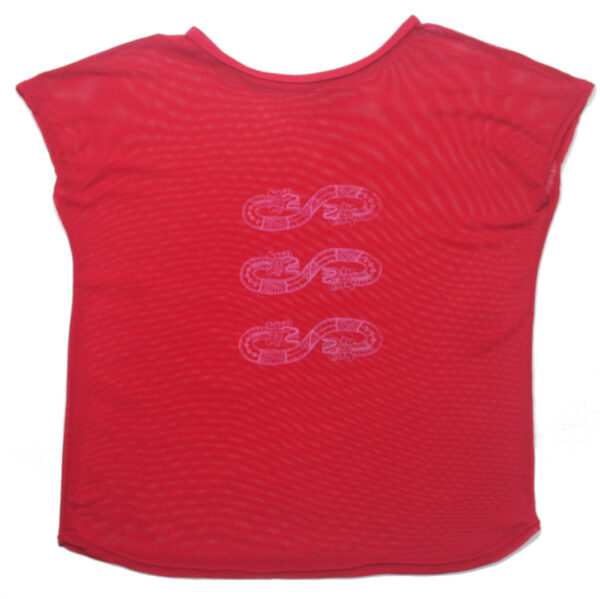 Blusa transparente